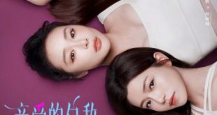 Dear Enemy (2025)
