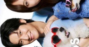 Love Is for the Dogs (2025)