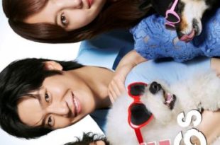 Love Is for the Dogs (2025)
