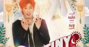 Suntiny (2025)
